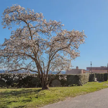 Апартаменты A Ca' Di Chiara E Fabio - Panoramica Maggiore *